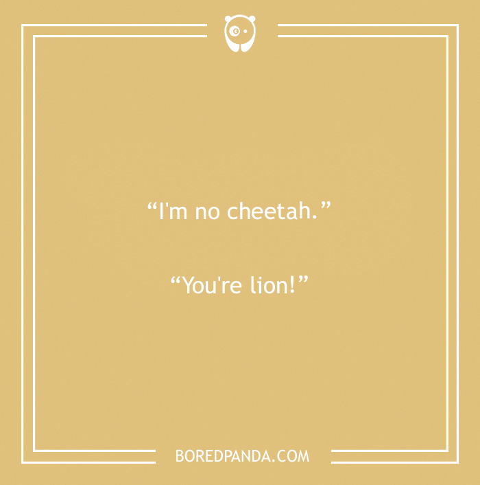Cheetah and lion pun 