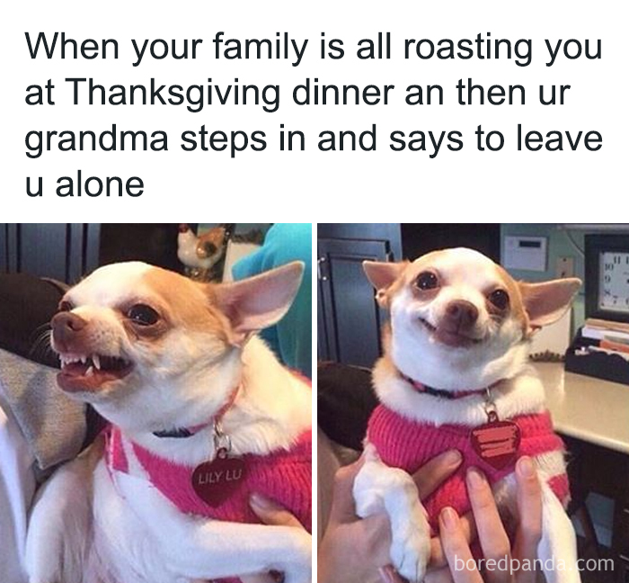 Funny-Viral-Thanksgiving-Posts