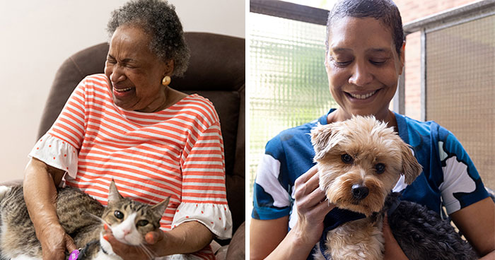 Volunteers Of Paws NY Help These People To Take Care Of Their Pets So That They Won’t Get Separated