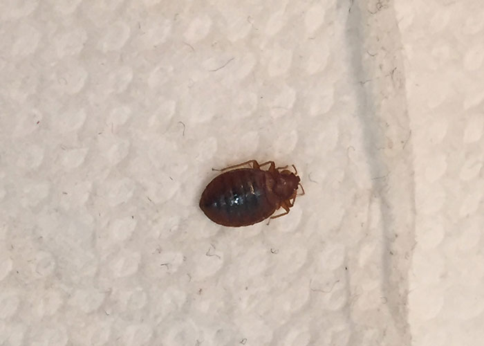 50 People Share Things That Are Outdated, Toxic And Should Be Retired