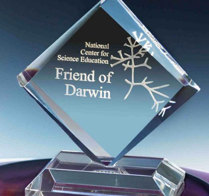 Algunas cosas sólo existen porque la gente es tonta, he aquí 30 de los ejemplos más precisos