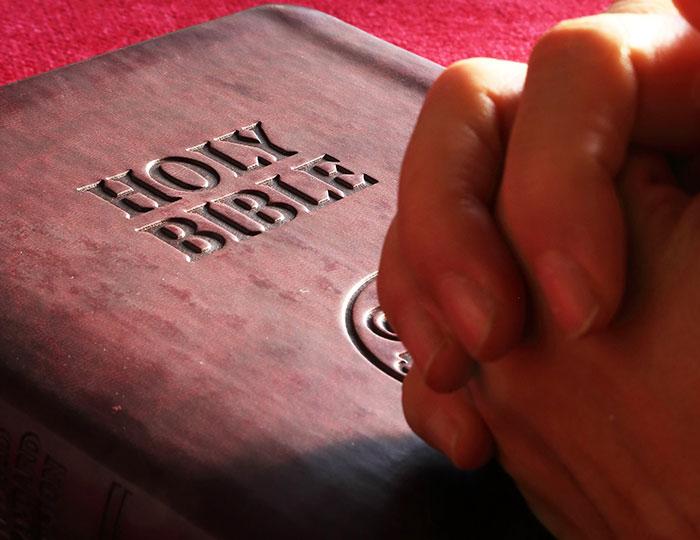 Algunas cosas sólo existen porque la gente es tonta, he aquí 30 de los ejemplos más precisos