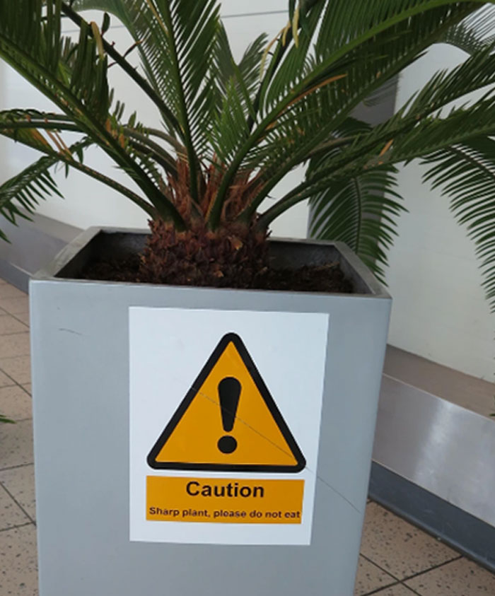 Algunas cosas sólo existen porque la gente es tonta, he aquí 30 de los ejemplos más precisos