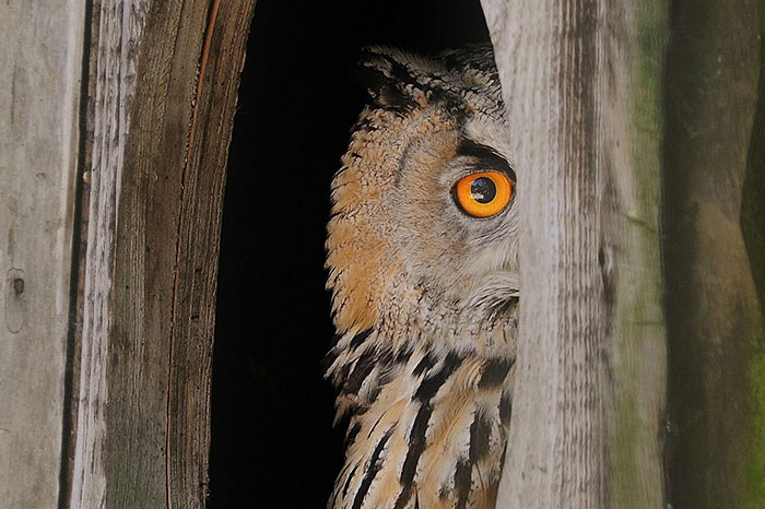 50 Facts About The World People Accidentally Realized And Had To Share Them Online