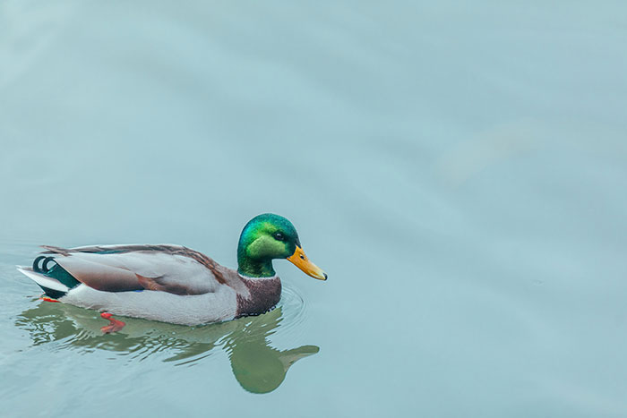 50 Facts About The World People Accidentally Realized And Had To Share Them Online