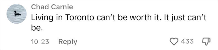 Realtor On TikTok: &ldquo;When You Thought The Toronto Rental Market Couldn&rsquo;t Get Any Worse, It Did&rdquo;
