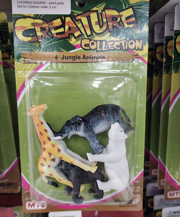 As Far As I Know, Polar Bears Don't Belong In The Jungle