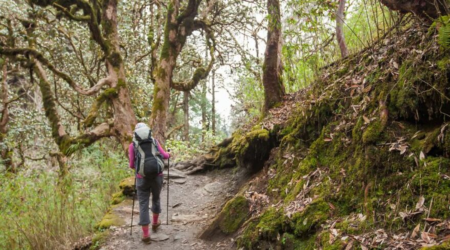 Everest In A Flash: Our 9-Day Trekking Experience