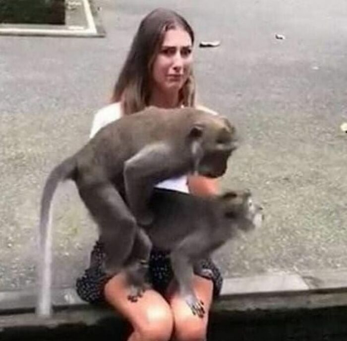 Unfortunate-Events-Pics