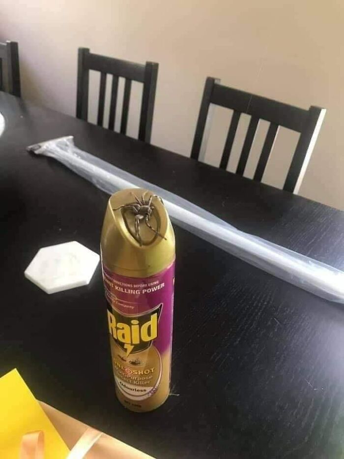 Unfortunate-Events-Pics