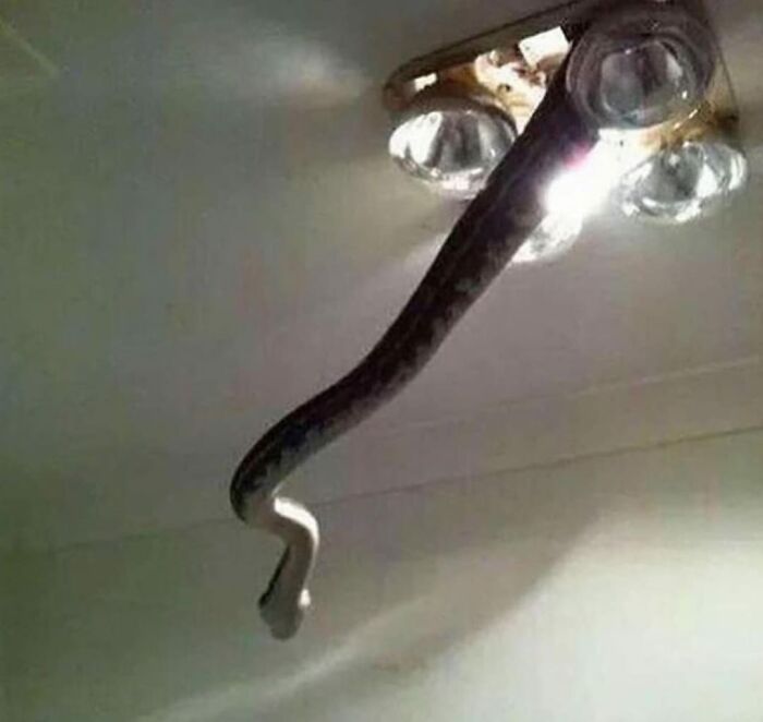 Unfortunate-Events-Pics