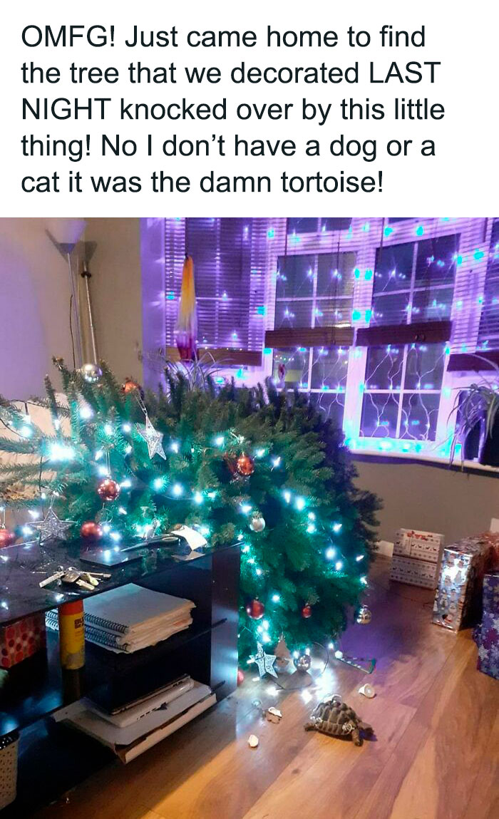 Unfortunate-Events-Pics