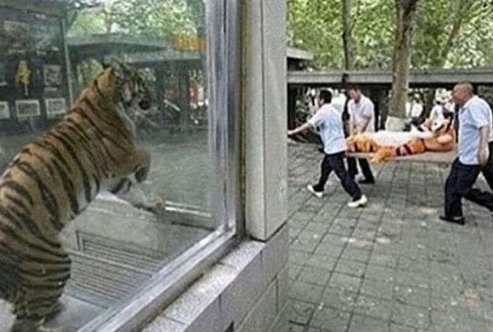 Unfortunate-Events-Pics