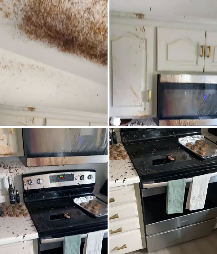 Imagine You're Expecting Guests To Arrive For Thanksgiving Dinner In 10 Minutes Or So, And This Happens. What Do You Do?