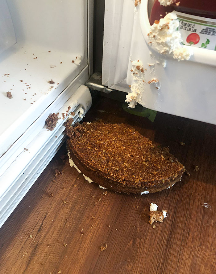 Happy Thanksgiving To The Ground