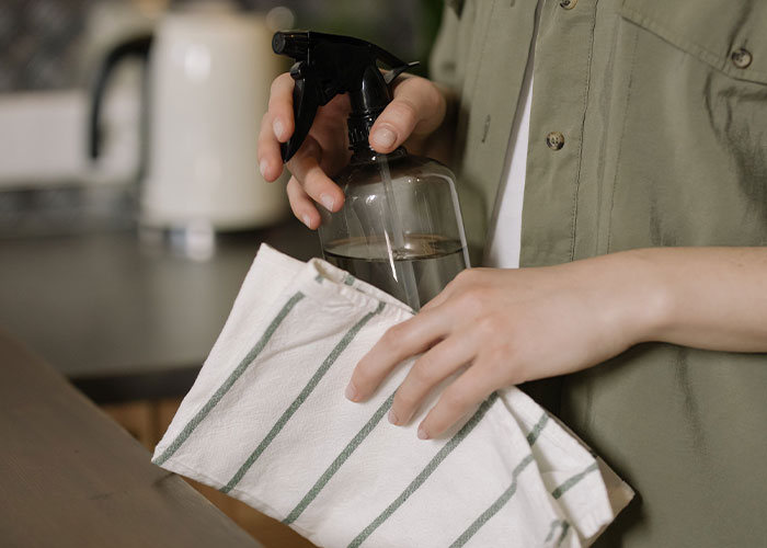 Person holding a spray bottle and cloth, demonstrating lesser-known frugal tips with biggest impact for saving at home.