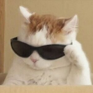 sarahenderson avatar