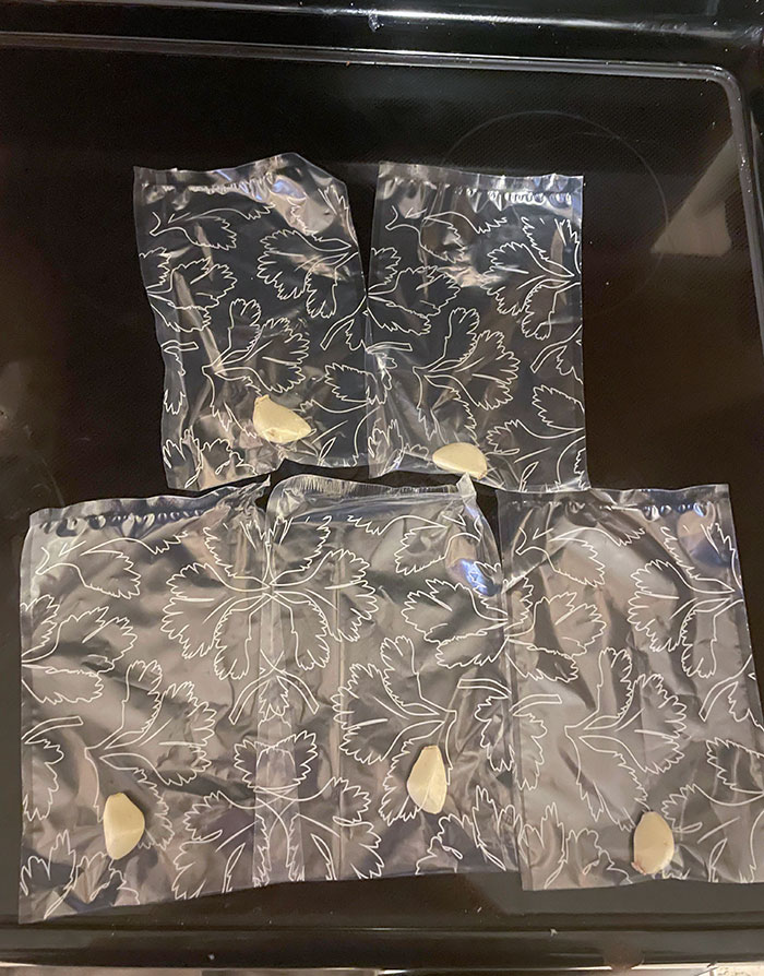 Clear plastic condiment packets with tiny bits of garlic inside showing packaging fails with poor portioning.