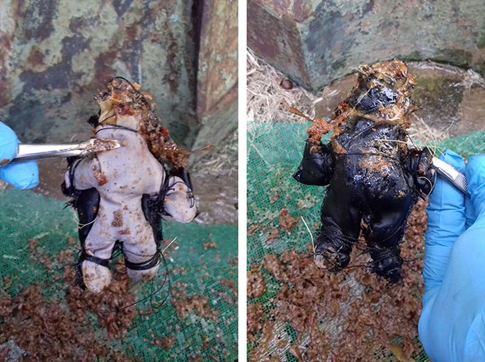 So, I Was Doing Gardening And Found This Buried On My Garden