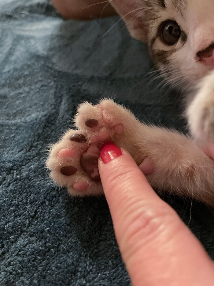 Y’all Want Some Beans?