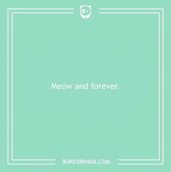 129 Bride Puns Worthy of Wedding Shaming Stories