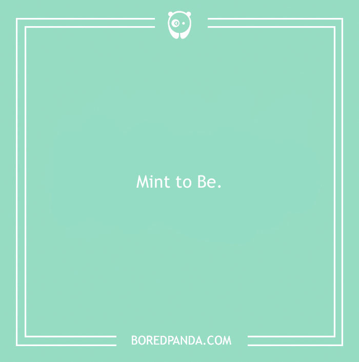 129 Bride Puns Worthy of Wedding Shaming Stories