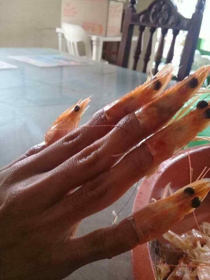 Weird-Cursed-Meals-Pics