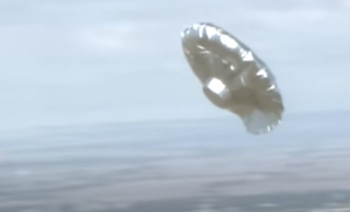 “Bonkers That Would Ever Happen”: 29 Live TV Moments People Just Can’t Forget