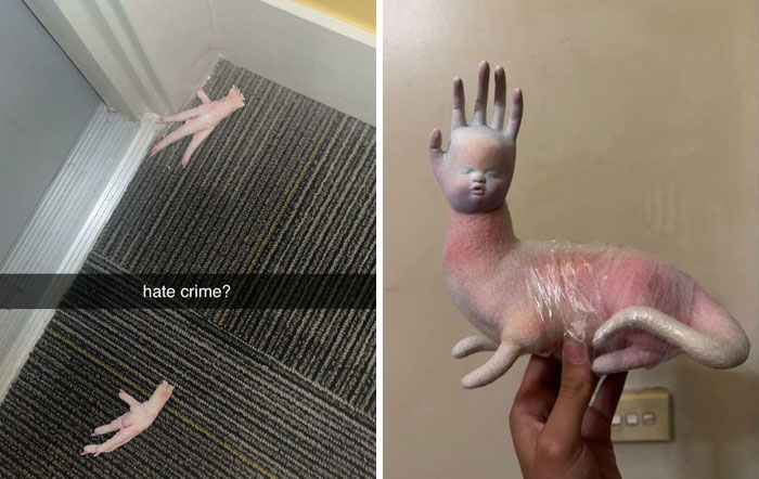 “Hate Crime?” 30 Times People Were Baffled By Something They Found At Their Door