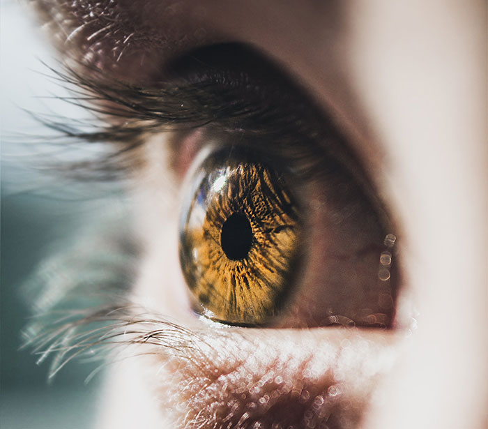 20 Cosas demasiado extravagantes que dijeron a la gente como si fuera lo más normal