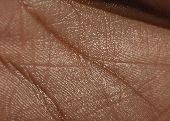 Close-up of human skin texture showing fine lines and patterns, related to weirdest animal facts and details.