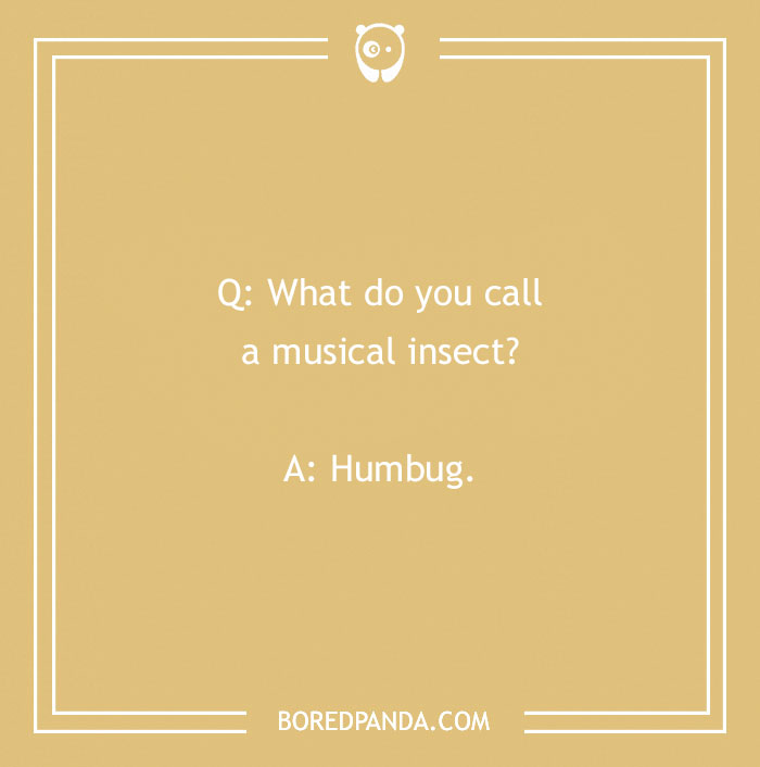 A funny "What do you call?" joke about a musical insect on a beige background.