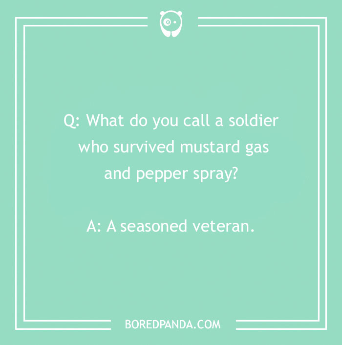 Funny "What Do You Call?" joke on a mint green background about a seasoned veteran.