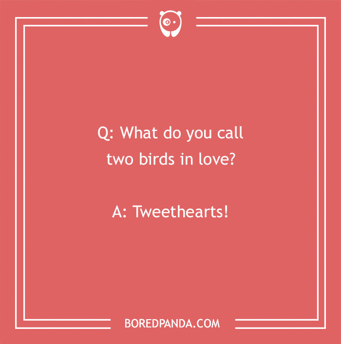 "Funny 'What Do You Call?' joke about two birds in love with the punchline 'Tweethearts' on a coral background."