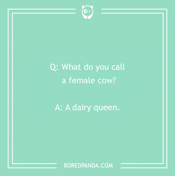 Funny 'What Do You Call?' joke on a green background: "What do you call a female cow? A dairy queen."