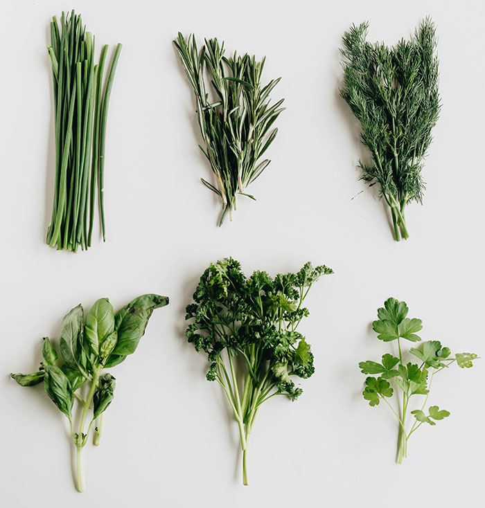 Fresh herbs including chives, rosemary, dill, basil, parsley, and cilantro on a white background.