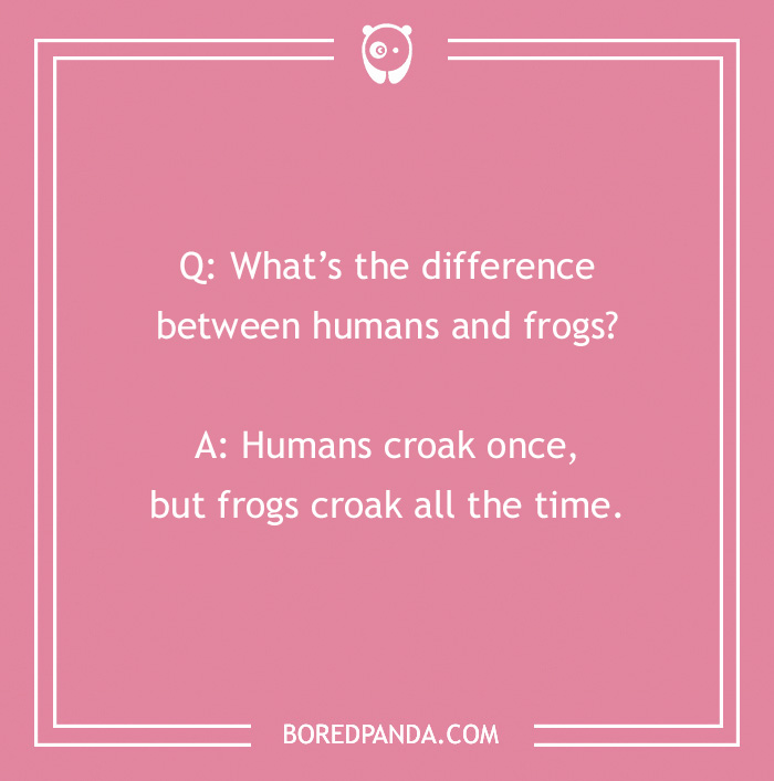 50 Of The Best “What’s The Difference Between” Jokes The Internet Has To Offer - 11