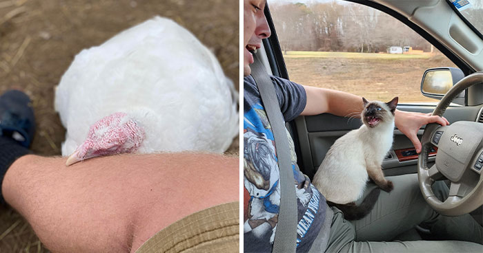 50 People Who Were Pleasantly Surprised With A Wholesome Thanksgiving And Just Had To Share