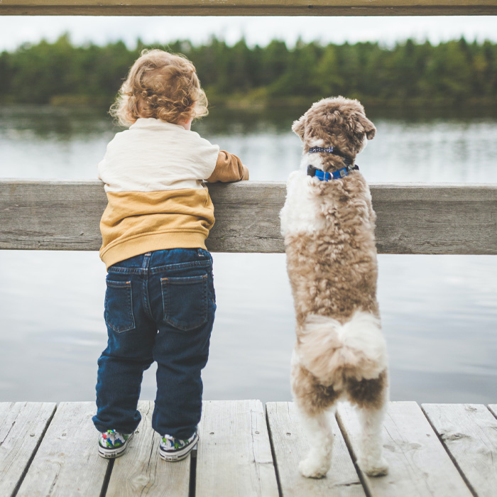 Child and happy dog standing together on a wooden pier by the lake, showing companionship and joy.