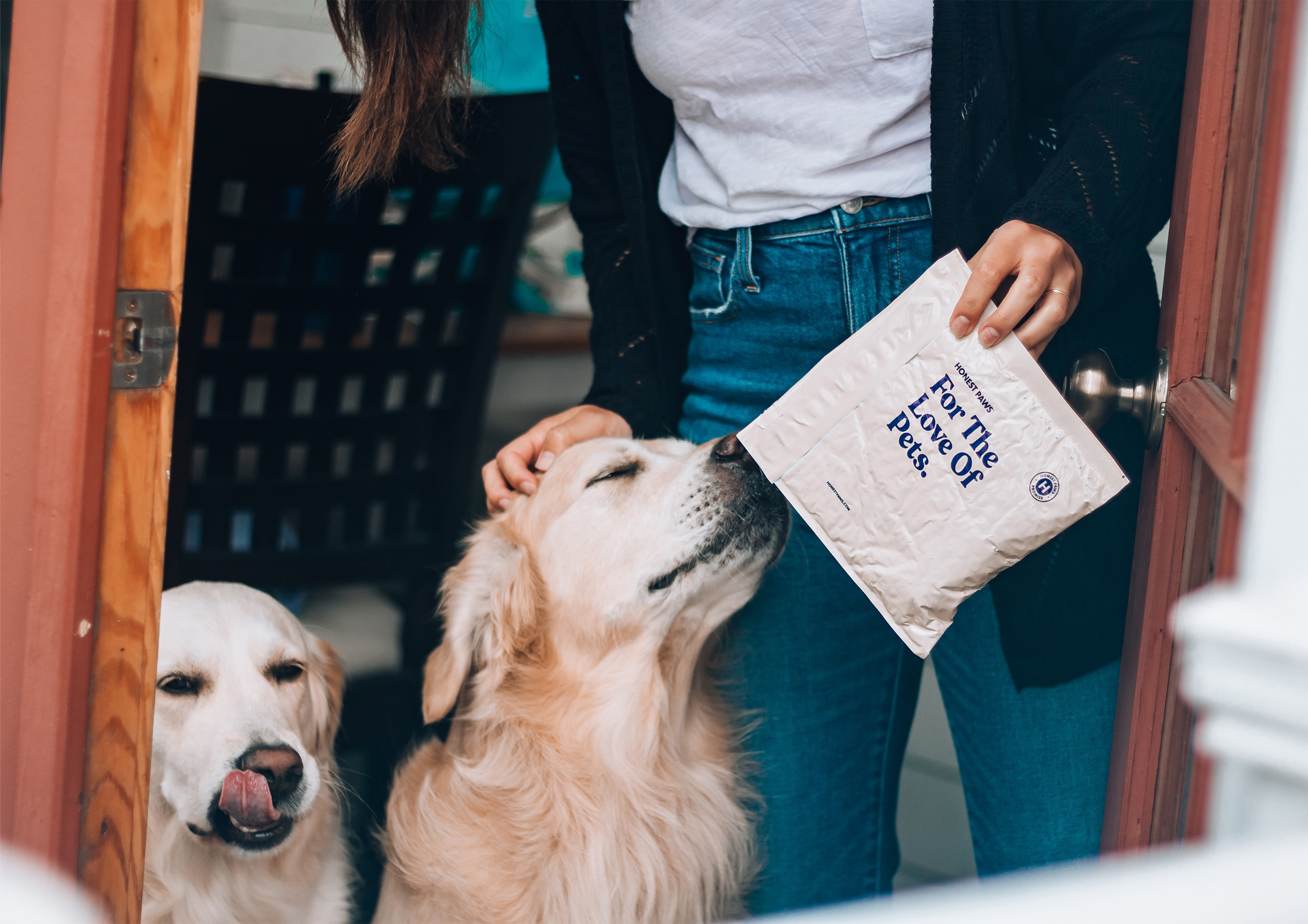 Two dogs, one licking the air, next to a person holding pet food.