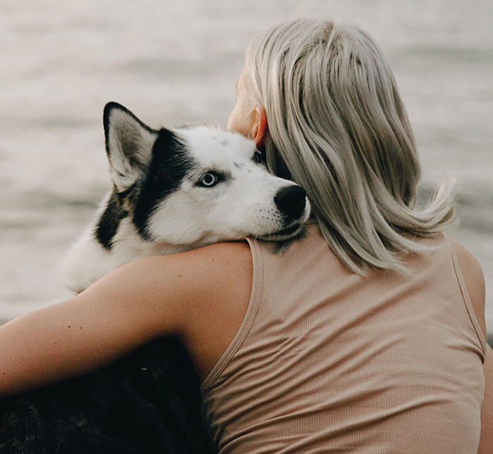A husky cuddling with a person by the water, showcasing dogs' love for affection.