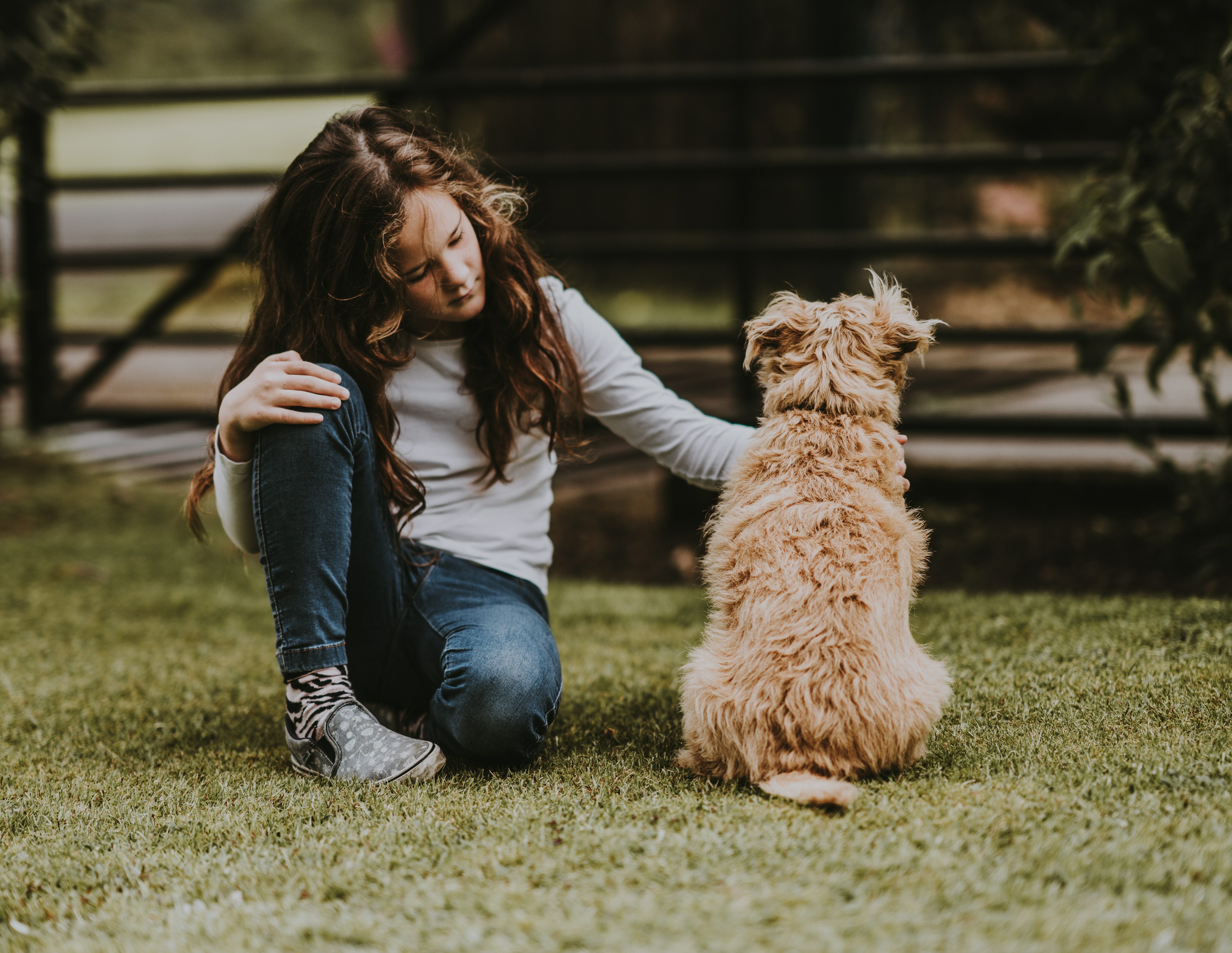 Child petting a dog's back in a park, highlighting dogs' love for having their butt scratched.