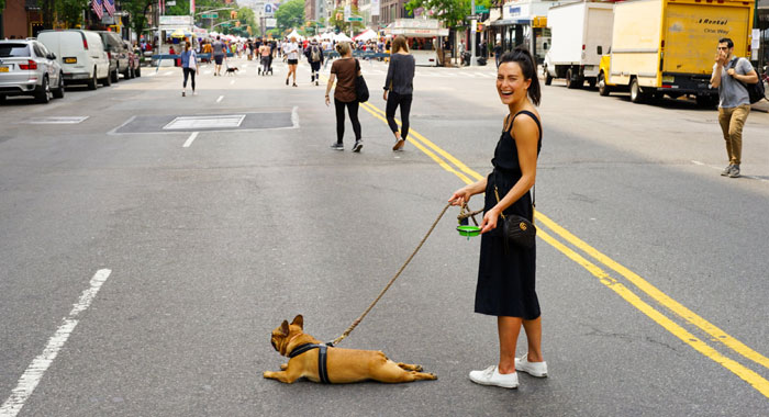Why Do Dogs Sploot and What Does it Mean
