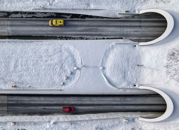 30 Conspiracy Theories That Some People Actually Believe Despite How Ridiculous They Sound