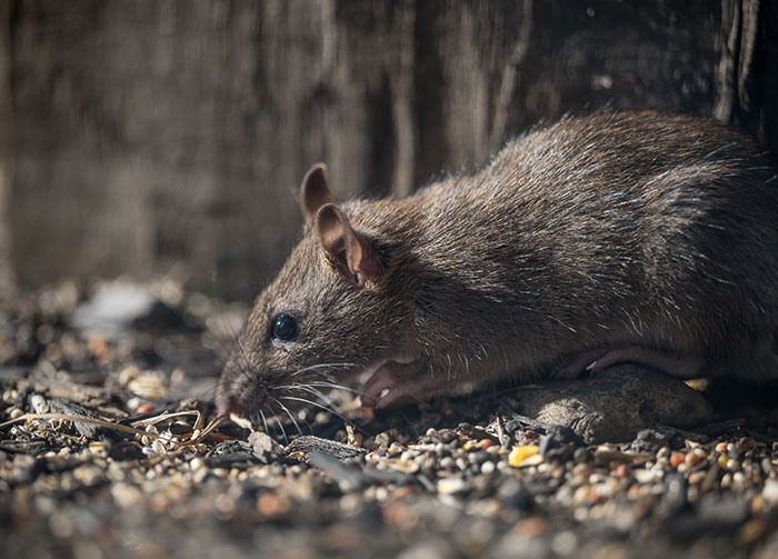 30 Conspiracy Theories That Some People Actually Believe Despite How Ridiculous They Sound