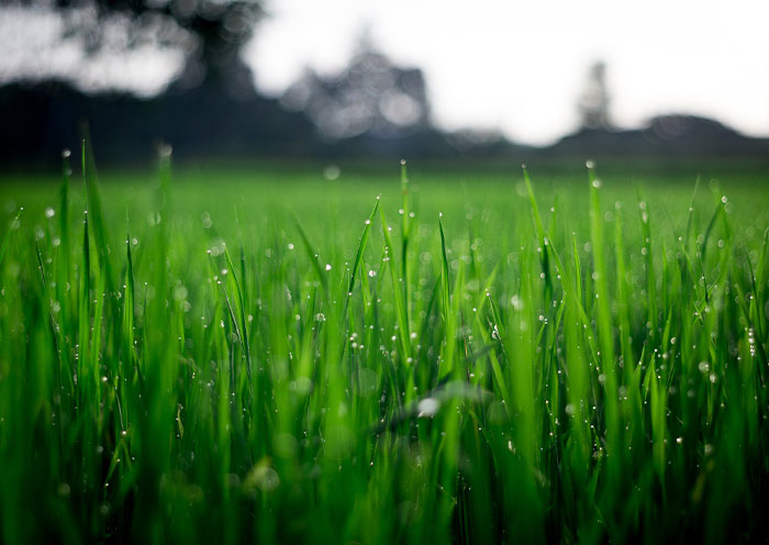 30 Conspiracy Theories That Some People Actually Believe Despite How Ridiculous They Sound