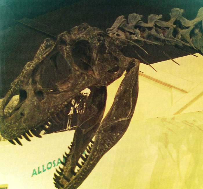 30 Conspiracy Theories That Some People Actually Believe Despite How Ridiculous They Sound