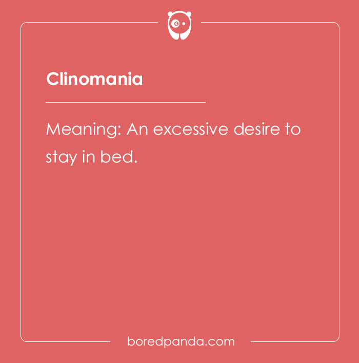 65 Cool Words You May Have Never Heard Of And Their Meanings