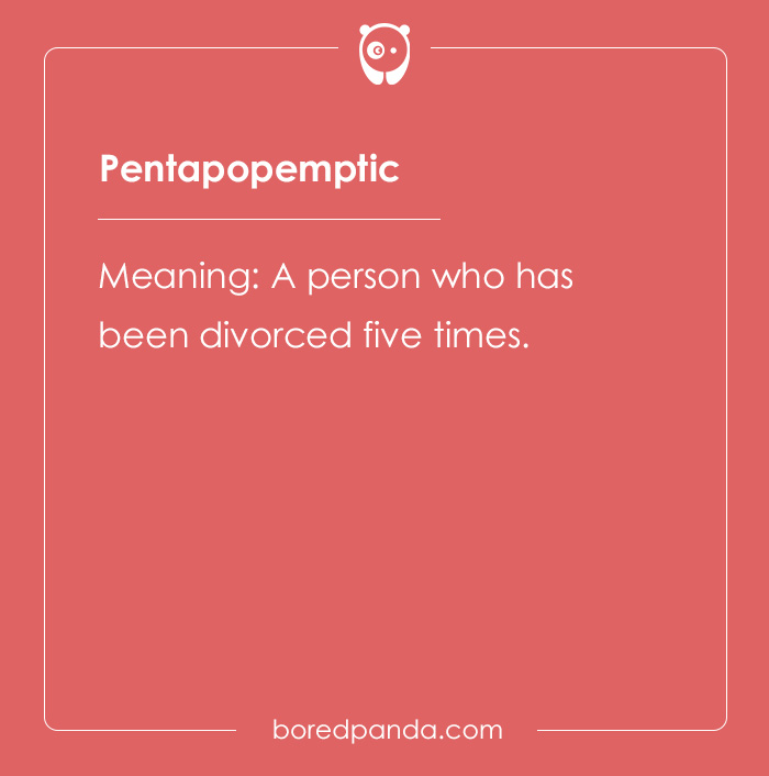 65 Cool Words You May Have Never Heard Of And Their Meanings