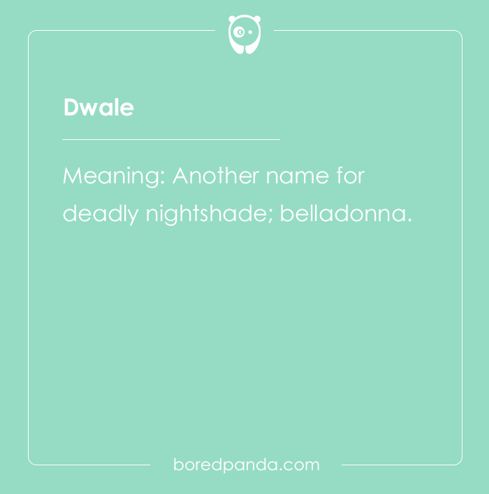 65 Cool Words You May Have Never Heard Of And Their Meanings